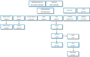 organogram